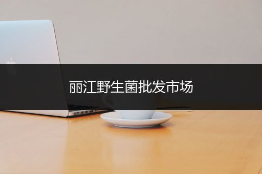 丽江野生菌批发市场