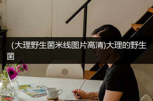 （大理野生菌米线图片高清)大理的野生菌