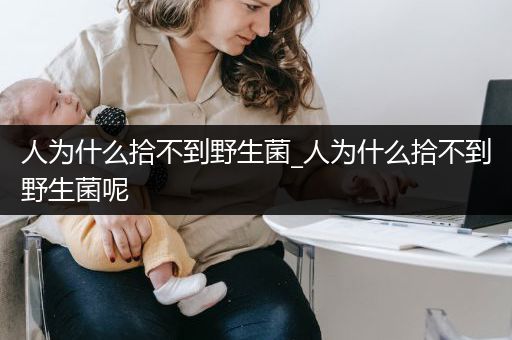 人为什么拾不到野生菌_人为什么拾不到野生菌呢